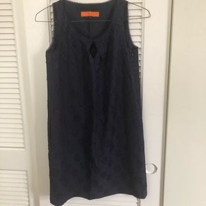 cynthia steffe navy floral appliqué dress